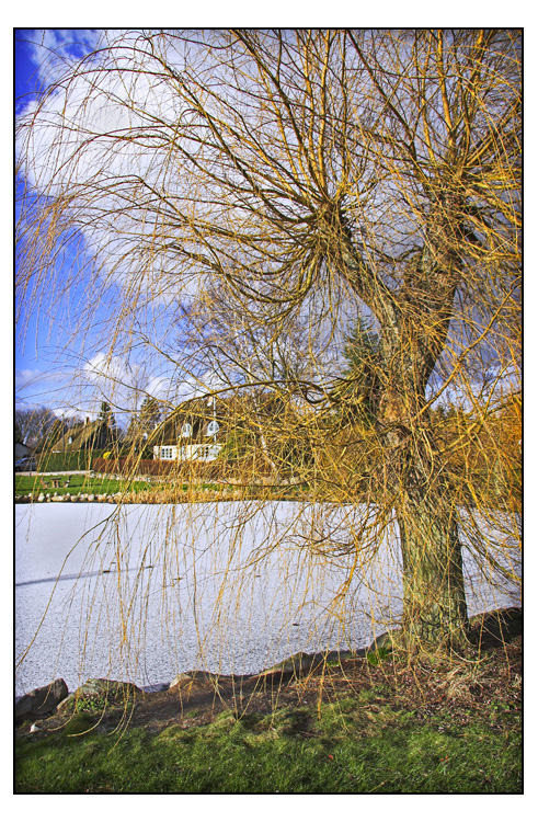 gedesby3.jpg - - the frozen pond -