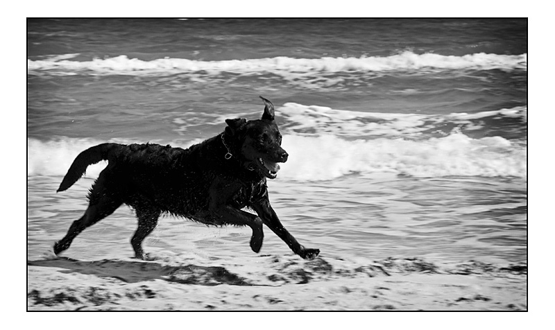 IMG_5798-01_bw.jpg - - finally free II -